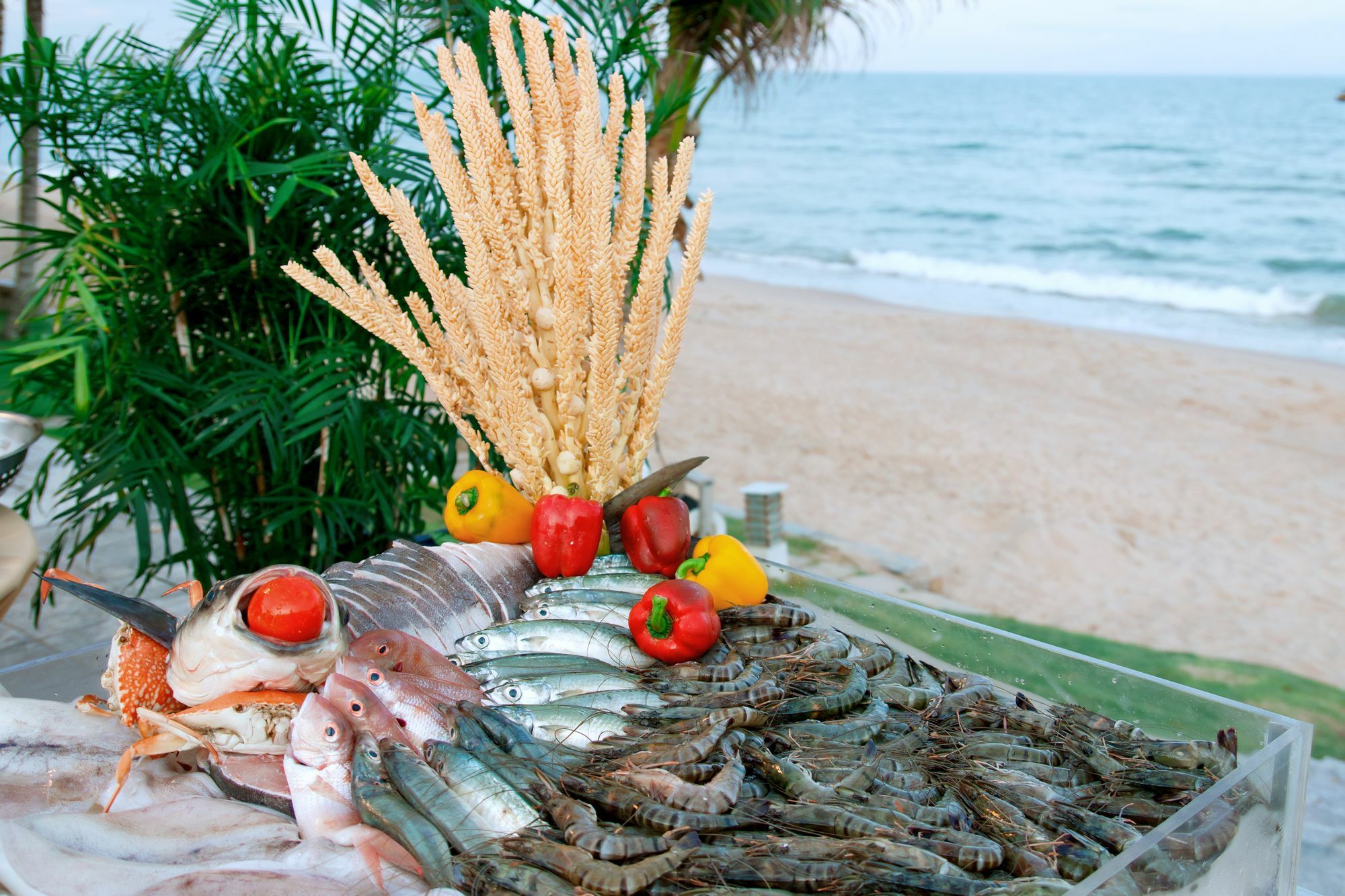 Villa Del Sol Beach Resort & Spa Phan Thiet Bagian luar foto